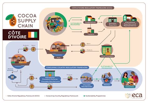 cocoa supply chain reviews